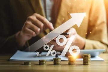 Bireysel Emeklilik Sisteminde Devlet Katkısı Nedir