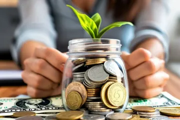 BES Devlet Katkısı